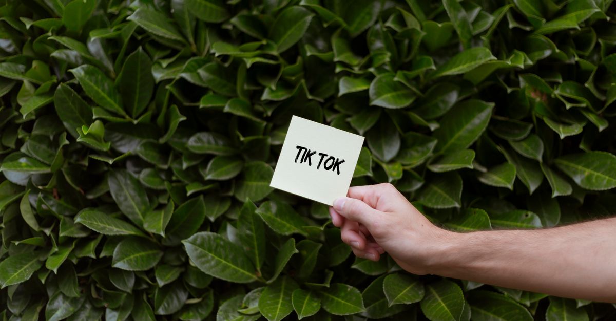 TikTok Ads cu AI: 3x ROAS în 90 de zile